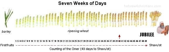 Sefirat ha'omer