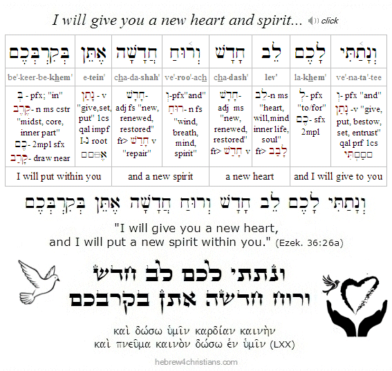 Ezekiel 36:26a Hebrew Lesson