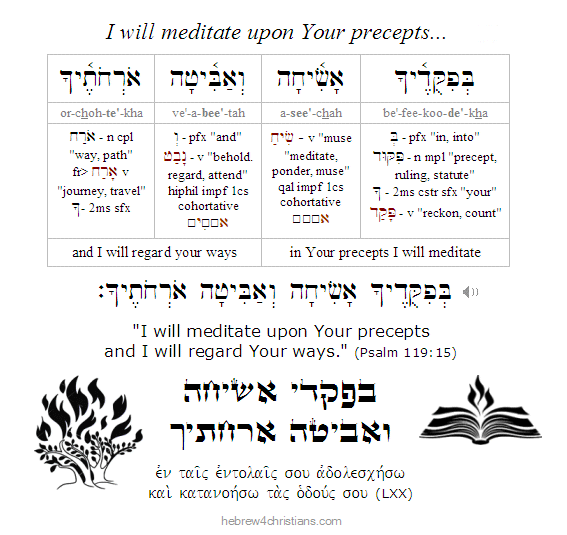 Psalm 119:15 Hebrew lesson