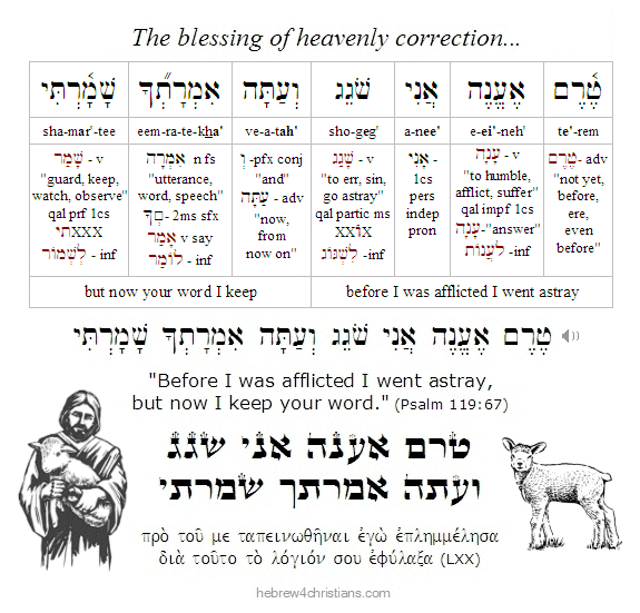 Psalm 119:67 Hebrew Lesson