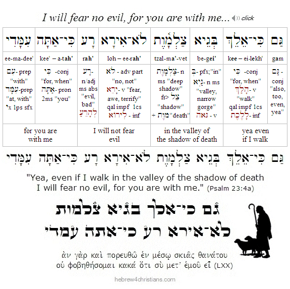 FEAR NO EVIL PSALM 23