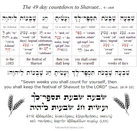 Deut. 16:9-10